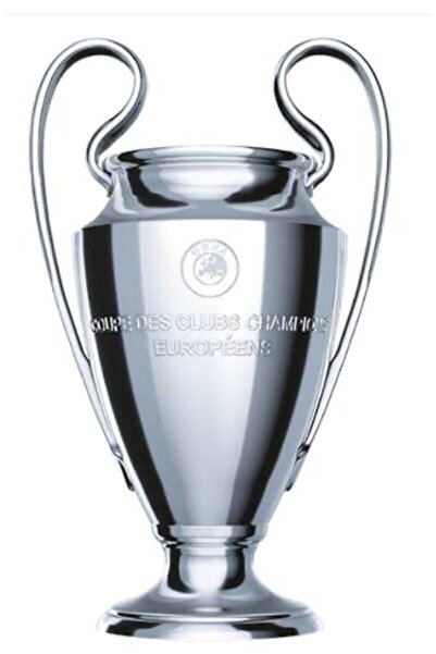 Goplast Premium Şampiyonlar Ligi Kupası 25 Cm (500GR)