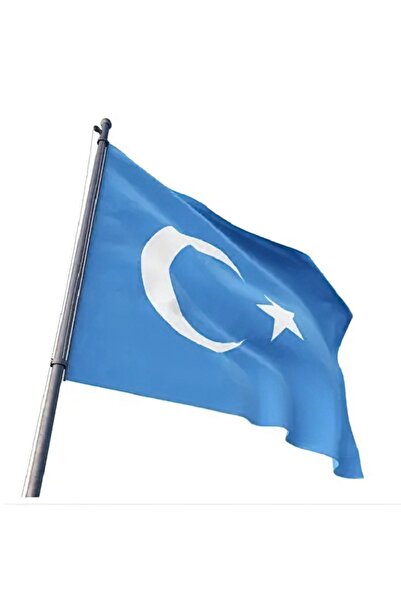 TSC ملصق علم تركستان الشرقي مقاس 19 سم