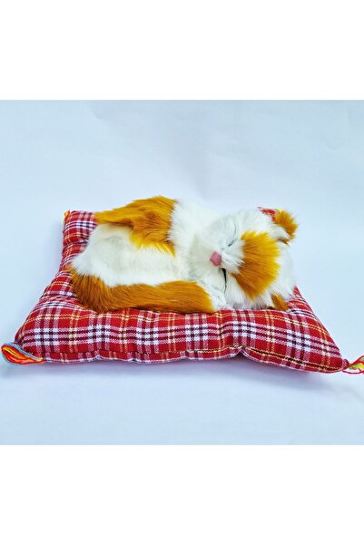 Gerçek Efsane En Pratik Kedi Köpek Sağlık ve Temizlik Ürünleri Petshop Toplu ...