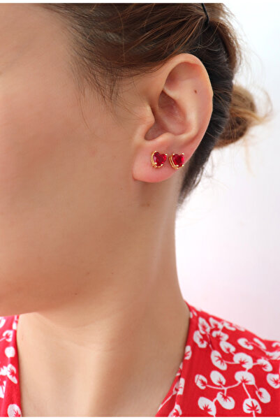 Silveranka 925 Ayar Gümüş Kalp Taşlı Küpe