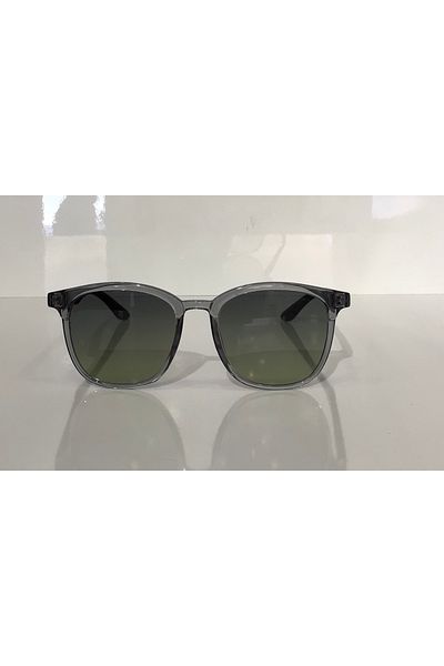 Swing Ss242 C11 51 Model Sunglasses