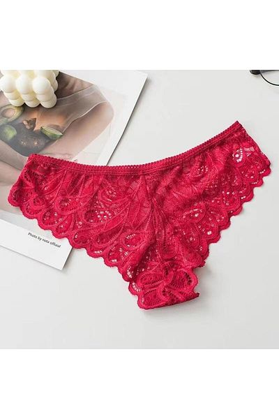 Top Step Brazilian Lace Panties