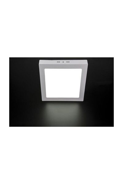 Cata Surface Mounted Led Luminaire 24 Watt Ct-5272 (square) Daylight