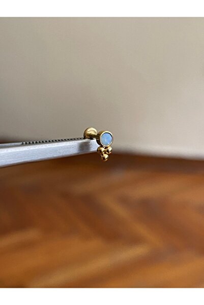 Rupen Kraft 316 L Cerrahi Çelik Renkli Tek Taş  Detaylı Dudak Kıkırdak Helix ...