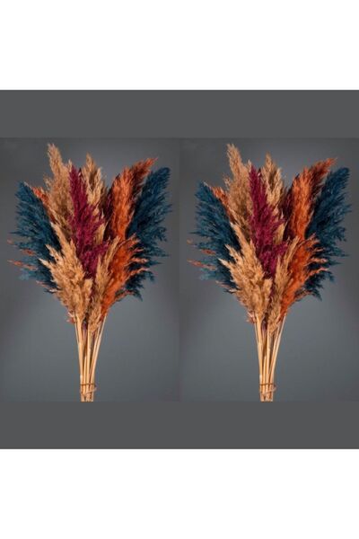ATÖLYE GSC --2'li Şoklanmış Pampas Toplam 18 Adet Renkli
