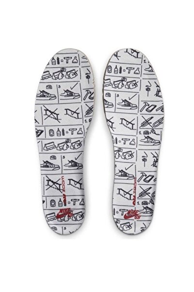 Nike Sb Dunk Low Pro Premium Kadın Sneaker