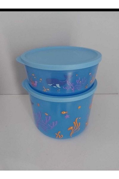 Tupperware Eco+ Cubic 950 Ml And 2.1 Lt Red Label