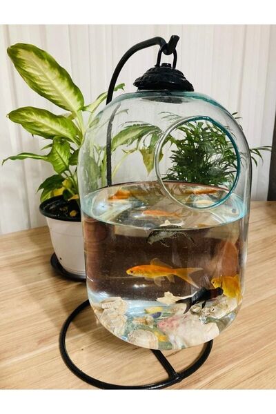 Genel Markalar Akvaryum / Fanus / Ferforjeli Akvaryum Askılı Fanus Teraryum