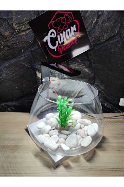 Çınarpetshop CAM FANUS ÖZEL OLARAK TASARLANMIŞ AYDINLATMALI CAM FANUS