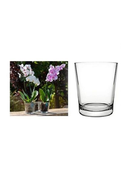 Paşabahçe Botanica Orchid 12.50 cm Thick Sole 9 Pot Vase - Small Size