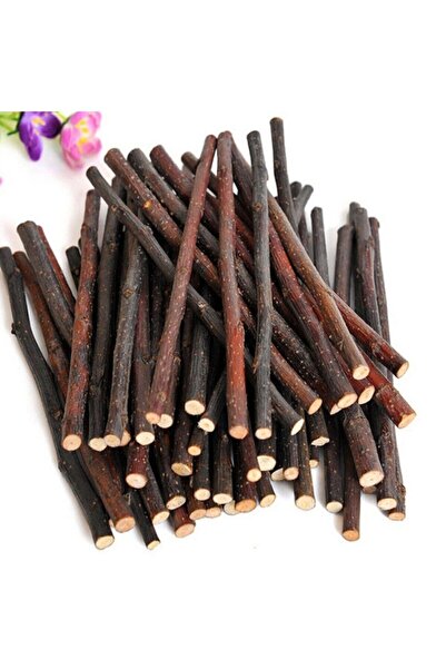 zozomix Kemirgenler İçin Elma Ağacı Dalı 12 Ad