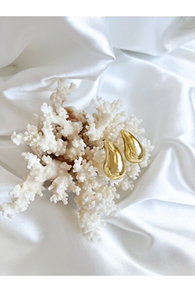 Generic Brand Gold Drop Model Earrings