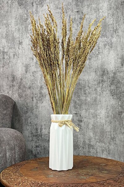 Goya Home Naturel Süpürge Otu Süslük Vazoluk Aranjman Çiçeği 80 gr
