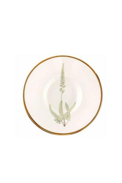 Porland Botanical 6 Tea Plate 11cm