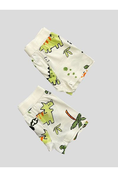 elmas kids Boy's Cotton White Dinosaur Patterned Wide Elastic 2-Piece Boxers