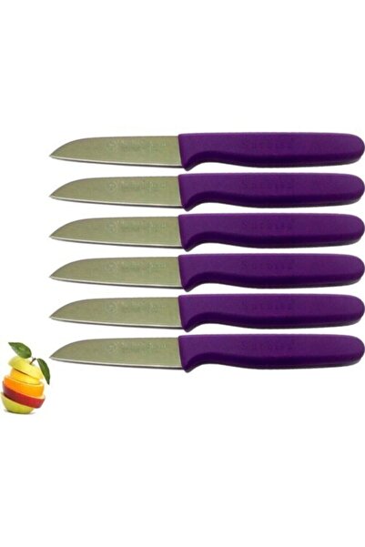 Sürbisa Sürmene Sürbısa 061007 Meyve Bıçağı 6 Lı Set Mor