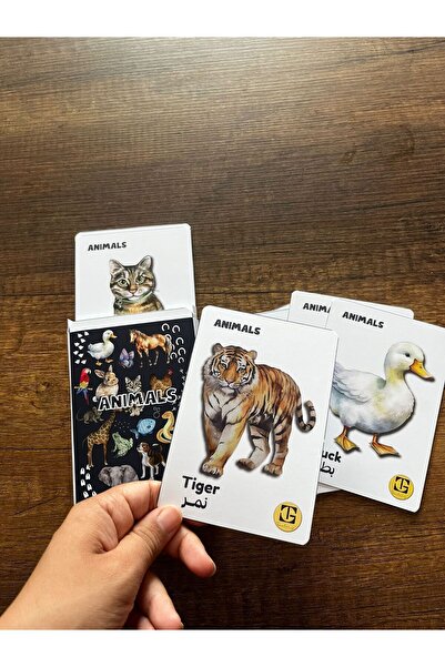 Teacherg game İngilizce/Arapça ilk sözcük kartlar (flash cards) Hayvanlar (30...