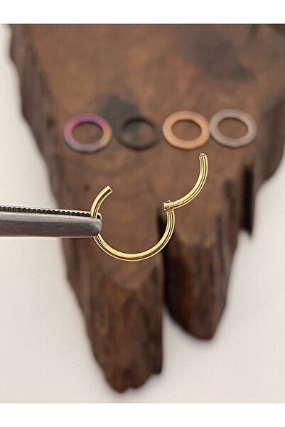 Rupen Kraft Paslanmaz Kararmaz Cerrahi Çelik Tam Halka Kıkırdak Tragus Helix ...