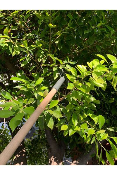 ZB TARIM Zeytin Tırmığı - Vidalı Ve Dişli Zeytin Toplama Tarağı - 1 Adet
