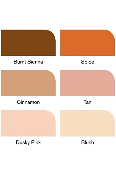 Winsor Newton Winsor & Newton Promarker Skin Tones 2 Ten Renkleri Seti (6 Renk)
