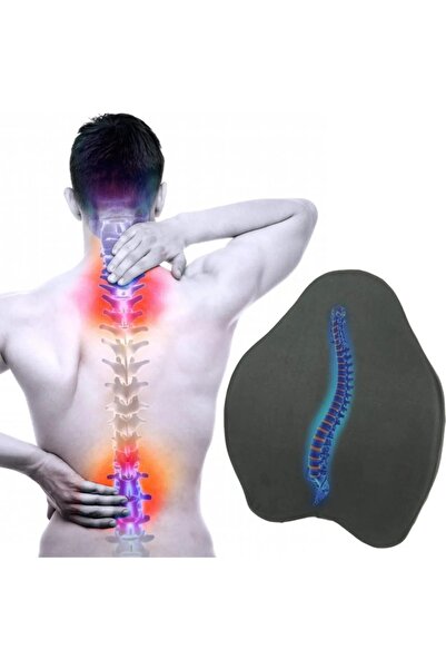 Demanslife وسادة ظهر مرنة لتقويم العظام وسادة دعم الظهر للخصر في المكتب