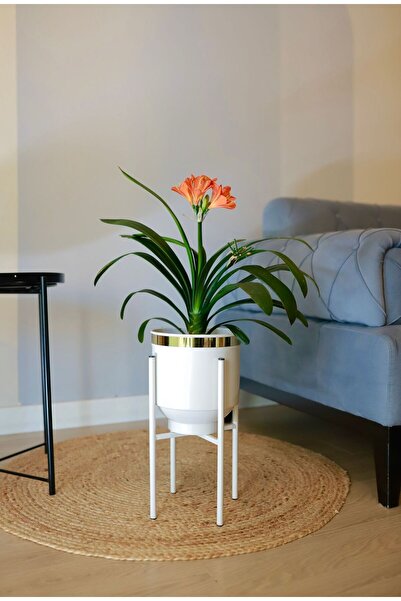 Özge Dekorasyon Metal Vazo Ayaklı Saksı Çiçeklik Beyaz Gold Dekoratif Saksılık 40x20cm