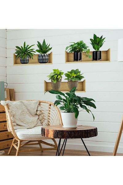 CMT Adhesive Sticker with Shelf and Plant Design 20*30 cm Set of 3 Mc-663