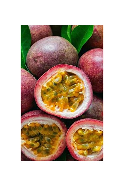 MYANAMUR 1 kg Passiflora (Passion Fruit , Çarkıfelek ,Aşk Meyvesi)