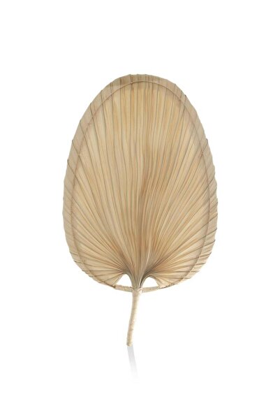 The Mia PALMİYE DUVAR DEKORU 30X42X50CM