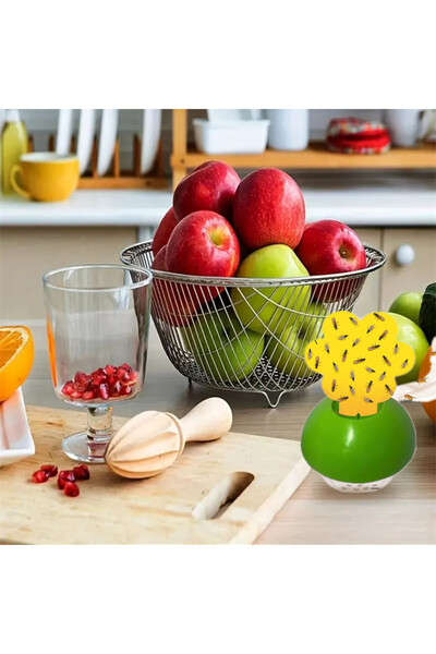 RICHIE Mutfak sinek tuzağı sebze meyve için sineklik sinek yapışkanı