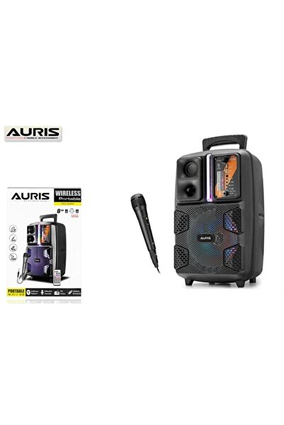Yabigel Aurıs Karaoke Bluetooth Lu Flash Bellek Hoparlör