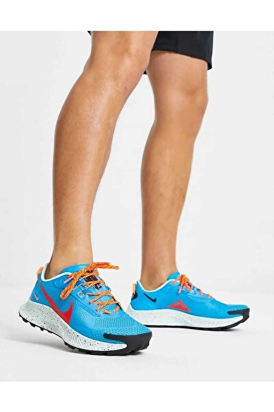 Nike Pegasus Trail 3 Arazi Tipi Erkek Koşu Yürüyüş Ayakkabısı