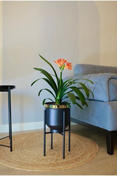 Özge Dekorasyon Metal Vazo Ayaklı Saksı Çiçeklik Siyah Gold Dekoratif Saksılık 40x20cm