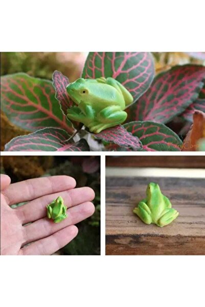 3-Piece Tiny Frog Terrarium Object Miniature Object Terrarium Accessory Terrarium Ornament