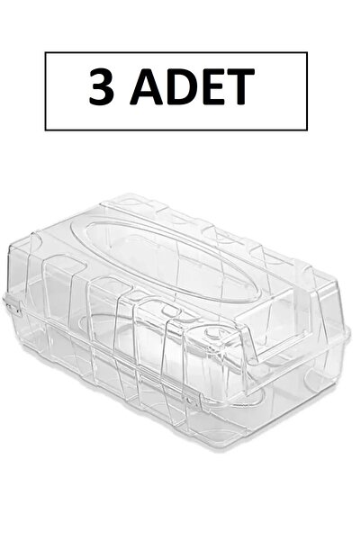 Bayev 3 Adet Erkek Ayakkabı Saklama Kutusu - Bay - Ayakkabı Kutusu Terlik Çan...