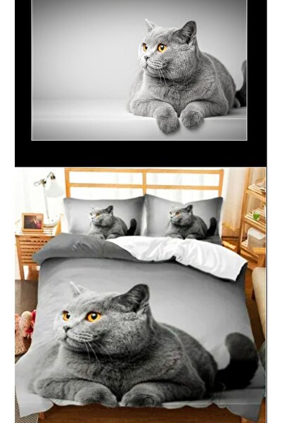 Elmas Dizayn طقم لحاف مزدوج مكون من 4 قطع - قطة رمادية، ستارة خلفية 2 قطعة