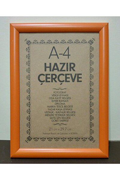 Palmiye A4 Renkli Çerçeveler Turuncu