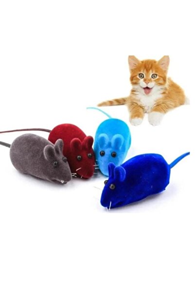 CNGZSHOP 2 Adet Cikcik Öten Kedi Oyuncağı Fare Eğitim Kedi Vakit Geçirici Eği...