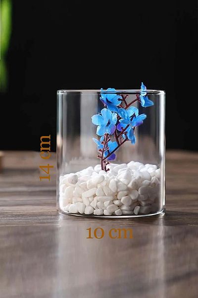 Paşabahçe Cylinder Table Top Glass Vase, 10X14 cm Cylinder Flower Pot Candle Holder