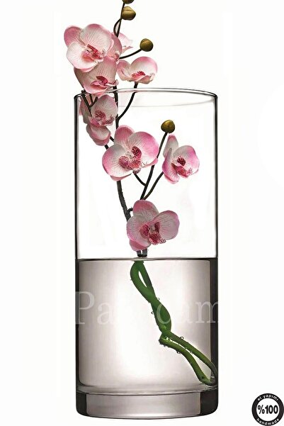 Paşabahçe Sürahi Vazo Mumluk 10x30cm