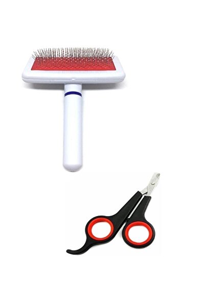 SENNEDİLERSEN مجموعة من مشطين للقطط ومقص للأظافر