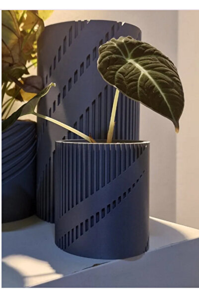 Macco Modern Tencere saksı