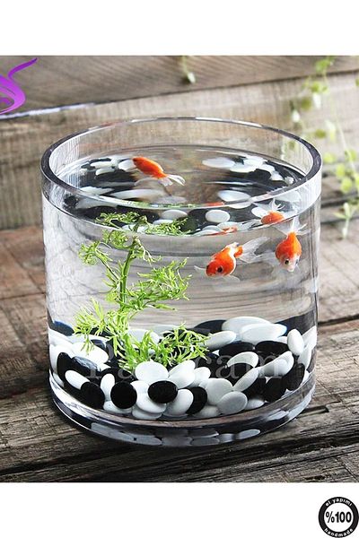 Paşabahçe 19 cm X 20 cm Perforated Hand Fabrication - Aquarium Hand Work Cylinder Vase Glass Ps19