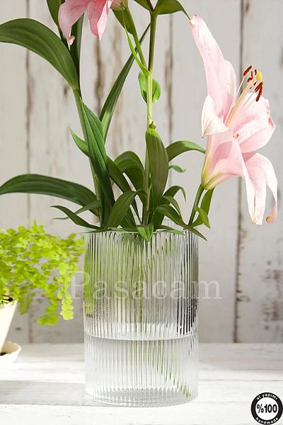 Paşabahçe Borosilicate Smallest Size 10 cm Width and Height 1 Piece - Optical Striped Cylinder Glass Vase