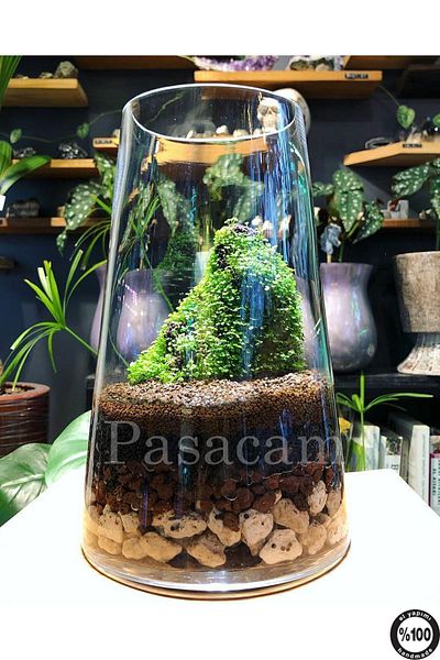 Paşabahçe 27 cm Aquarium Handcrafted - Perforated Cylinder Vase Trape Ps27