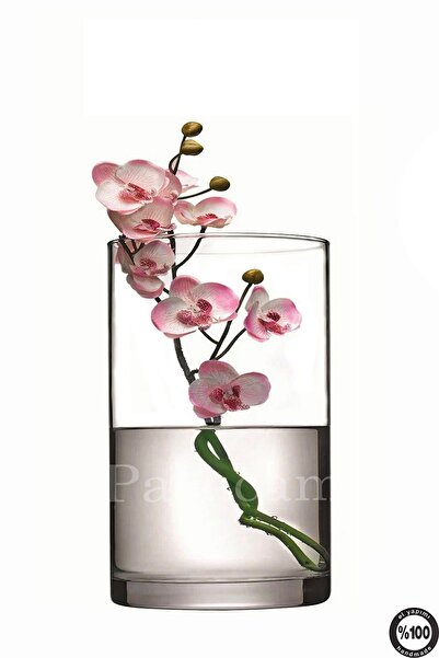 Paşabahçe sürahi vazo mumluk 10x20cm