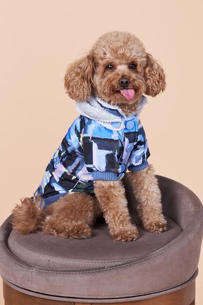 salya store Dog Apparel Graffiti Small Breed Dog Coat