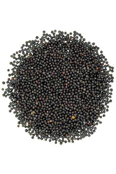 Badem Akvaryum Rapiska Tohumu Kanola Tohumu Şalgam Tohumu 500 Gr