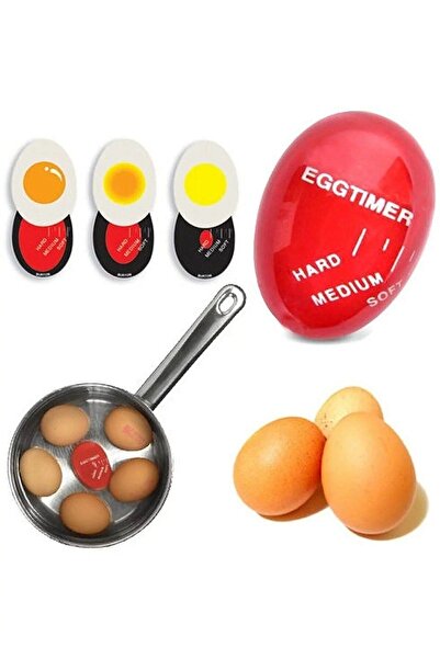 Eviniz güzel Egg Colored Stunt Timer