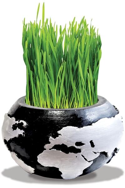 Süs ağacı Çimli Beton Saksı Boyama Seti Dünya Model Saksı -dıy Kendin Boya Çim Adam- Siyah Gümüş